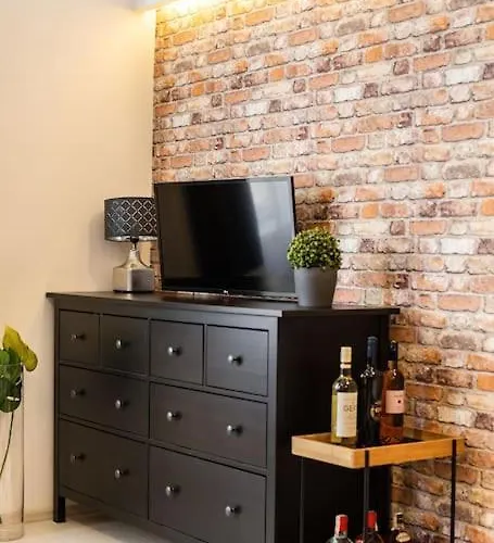 Industrial By Danube, Margaret Island 公寓